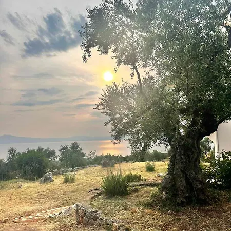 Villa Ventana *